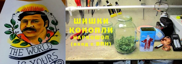 бошки Ивангород