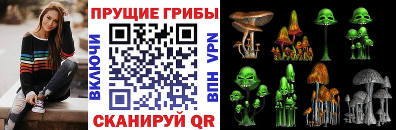 Псилоцибиновые грибы мухоморы Кировск